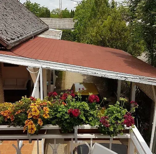 Csalad-barat Lägenhet