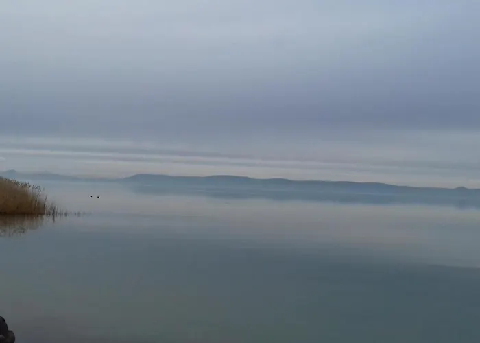 Csalad-barat * Balatonlelle